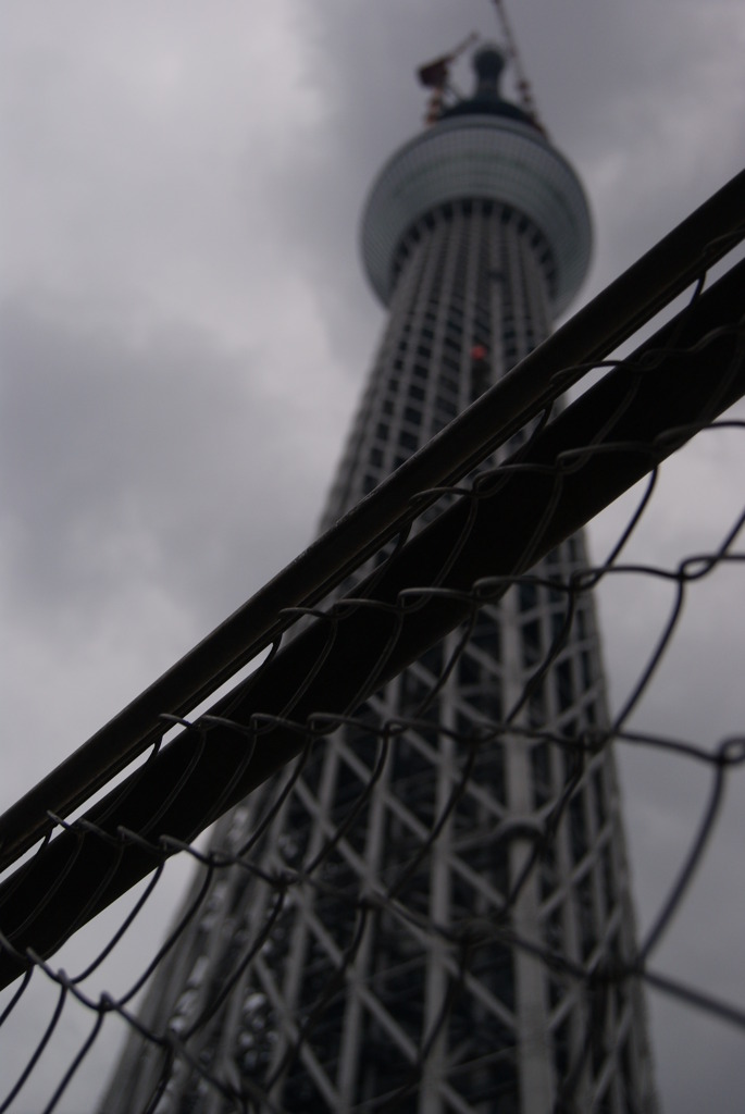 金網の向こう＃1