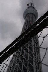 金網の向こう＃1