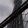 金網の向こう＃1