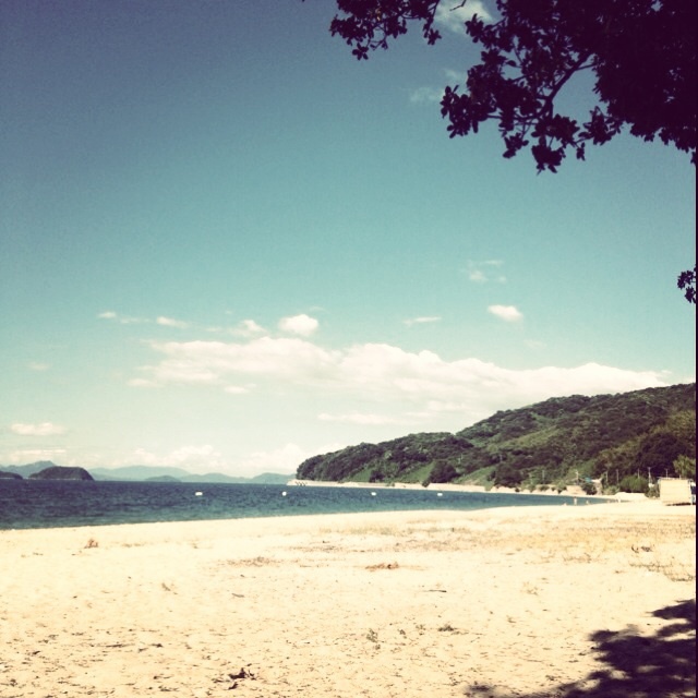 Sunny day.