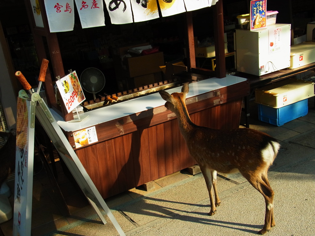 食べたいなぁ