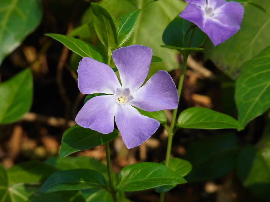 R0010002