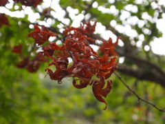 P8210507