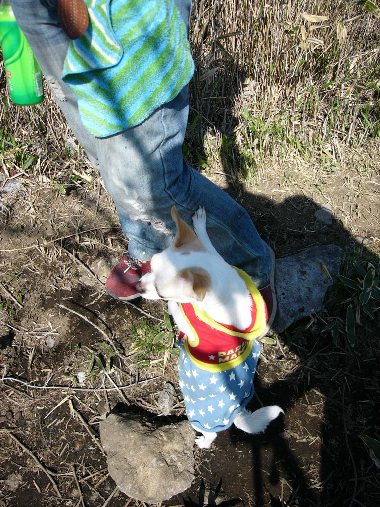P1020379