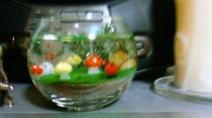 伊豆で作ったキャンドル
