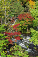 滝と紅葉