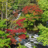 滝と紅葉