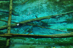 水深5m