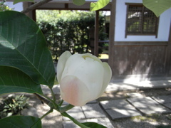 RIMG1169