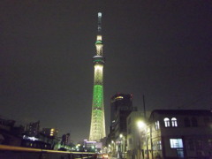 Sky Tree for Christmas