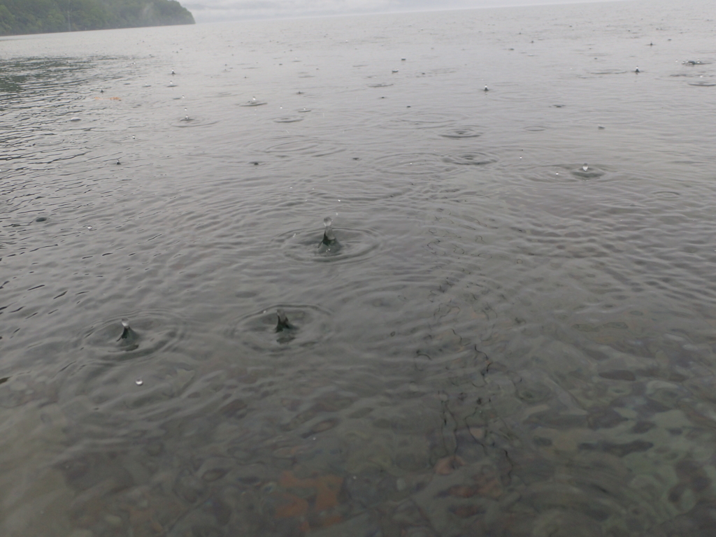 湖面に雨粒