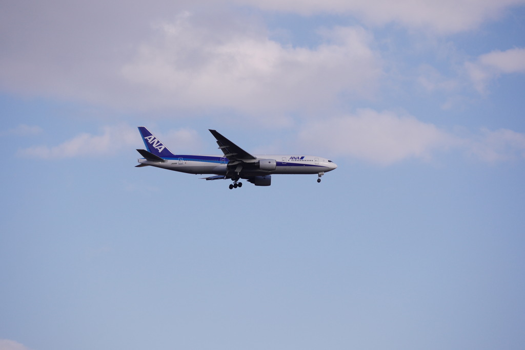 飛行機