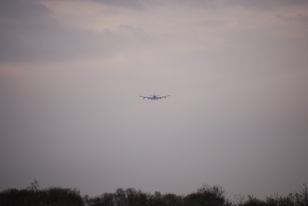飛行機