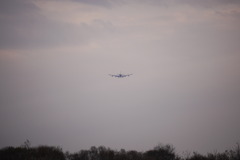 飛行機