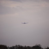 飛行機