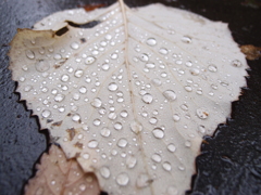 防水