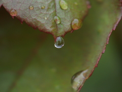 水滴