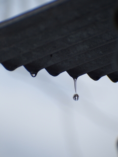 水玉