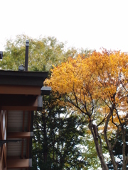 寂しい神社
