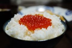 イクラ飯