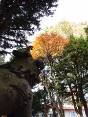 寂しい神社