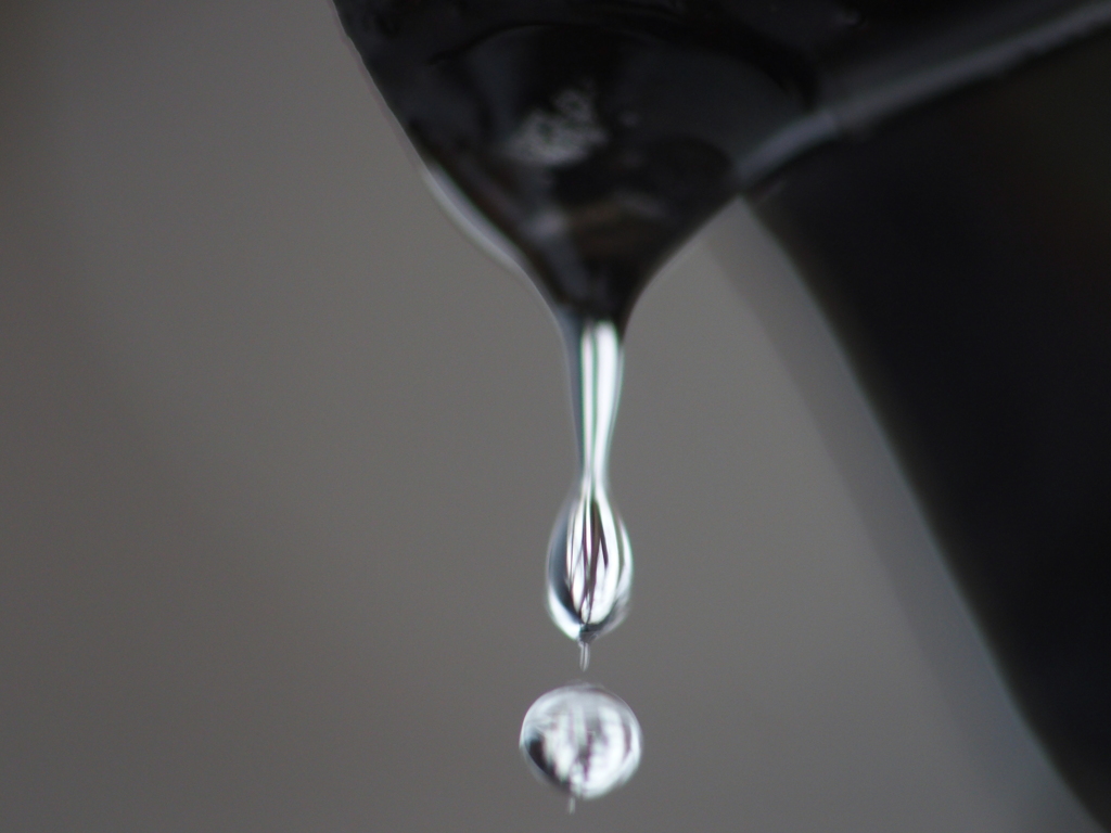 水玉