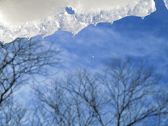 水滴