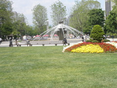 大通り公園初夏