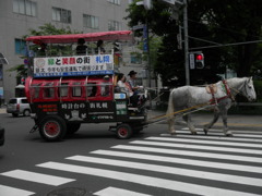 道産子　馬車