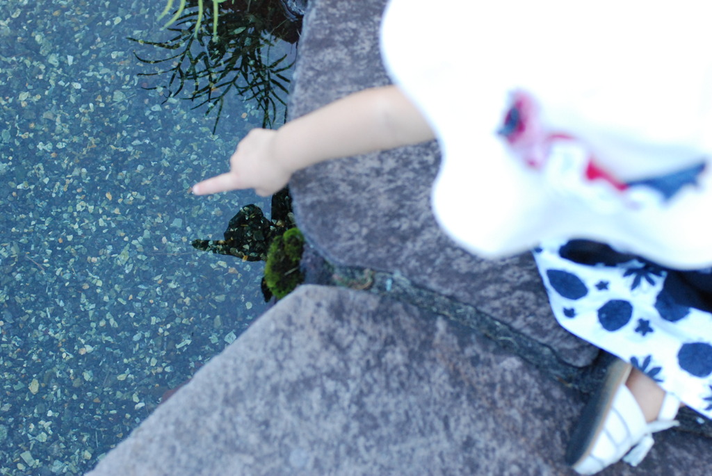 ズビシ！