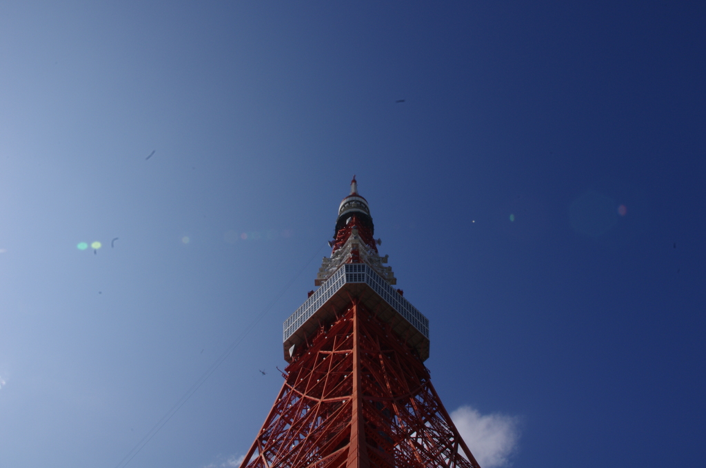 IMGP0959