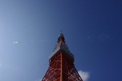 IMGP0959