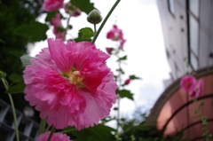 IMGP0328