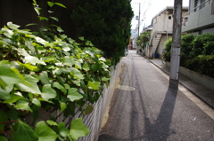IMGP0436