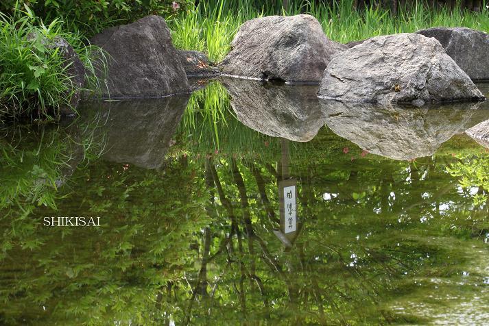 水のある風景