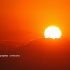 太陽にほえろ!