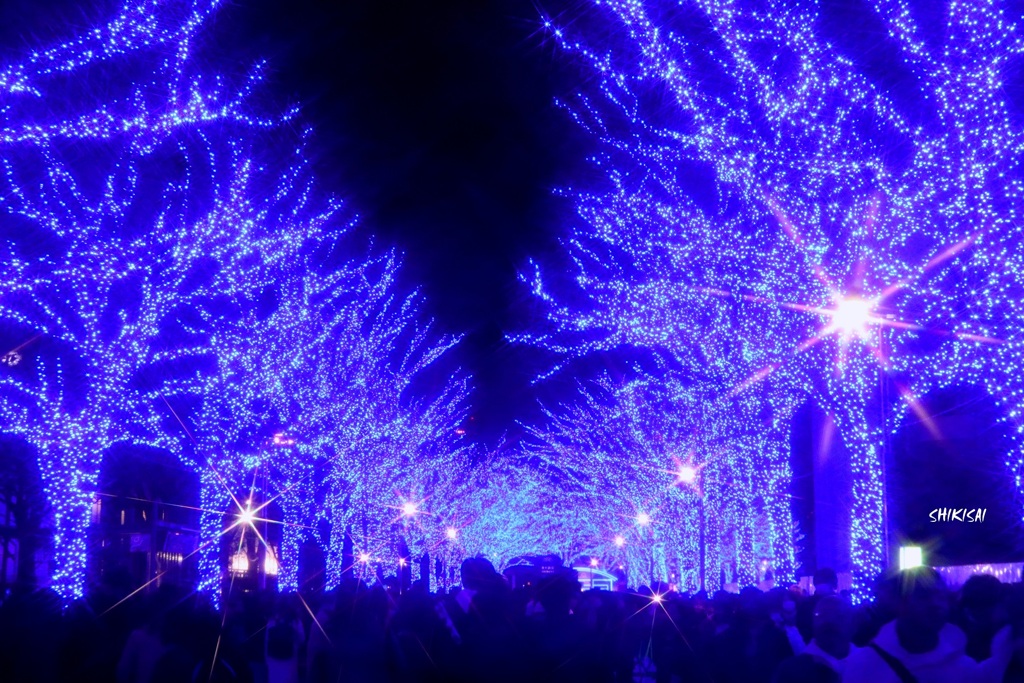 青の洞窟☆2019