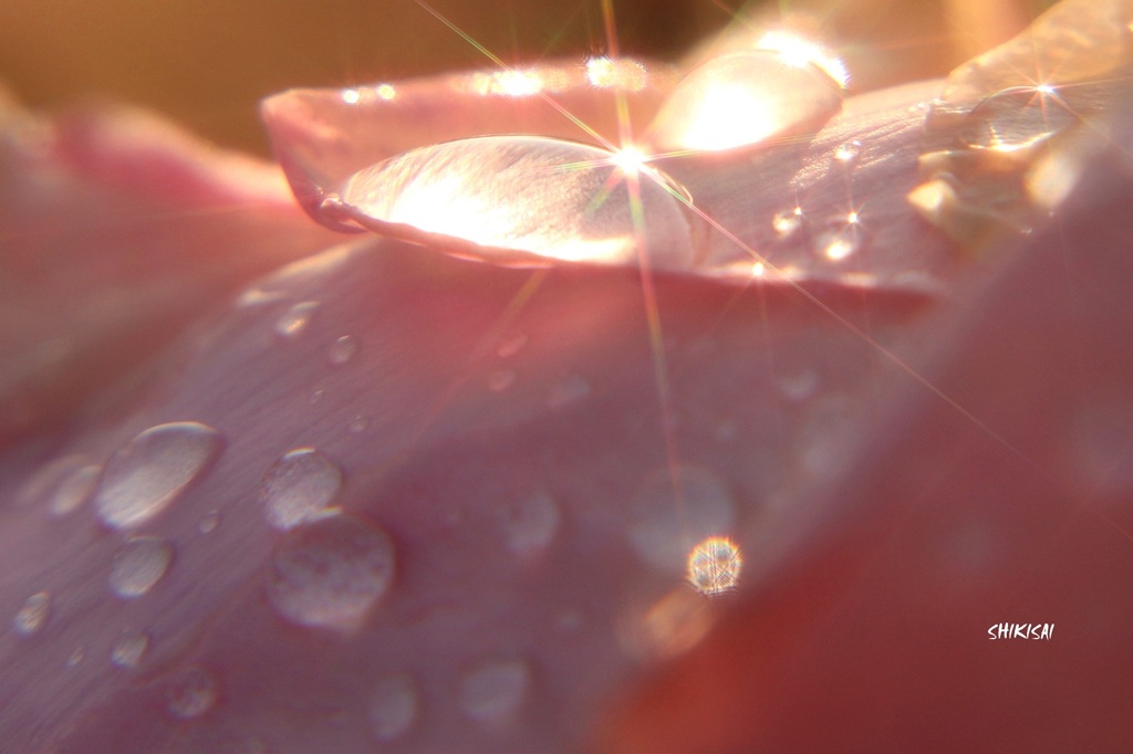 雨上がり3