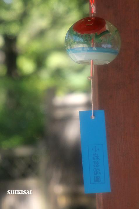 夏情緒