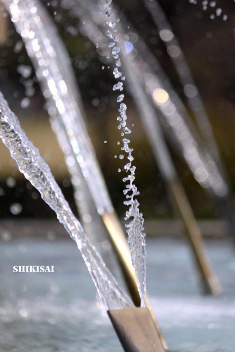 噴水のあるところ