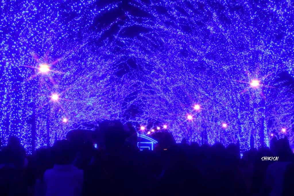 青の洞窟☆2019 ⅱ