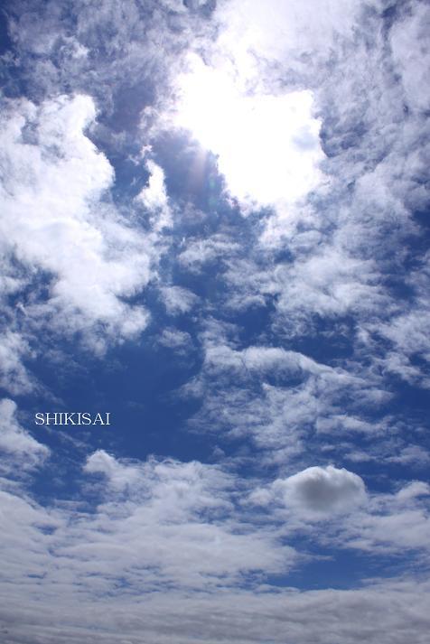 梅雨の晴れ間