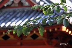 川越喜多院