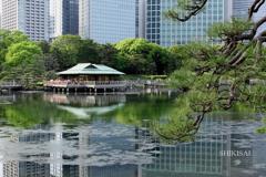 潮入の池　