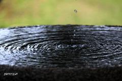 水景色
