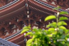 下町散策