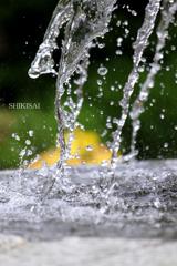 噴水への喜び