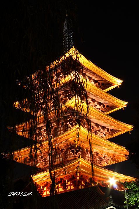 ライトアップ浅草寺