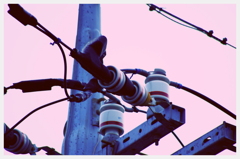 電力2