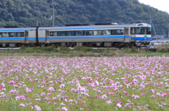 秋電車